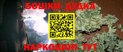 гидра Кинель