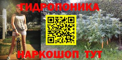 mdma Кингисепп