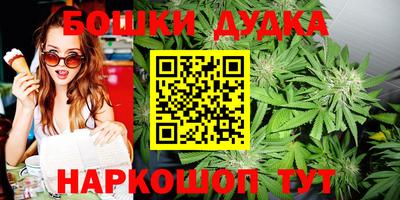 гидра Кинель