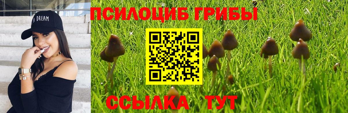 Куйбышев  Галлюциногенные грибы прущие грибы  Вход с VPN  Псилоцибиновые грибы мухоморы 
