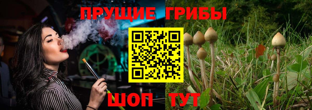 ГАШИШ  МЕТАДОН  Куйбышев  Где найти наркотики?  Вход с VPN  Меф МЯУ МЯУ   Каннабис  COCAIN  A-PVP СК кристаллы 